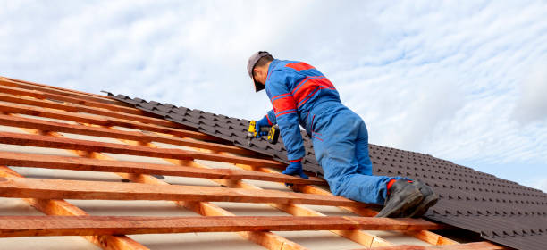 Best Roof Moss and Algae Removal  in Mford, IL